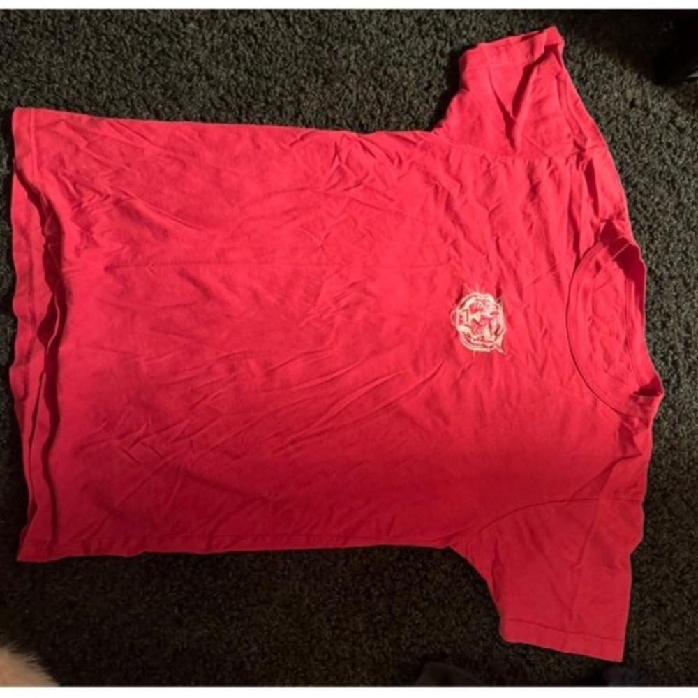 Brandy Melville embroidered Tiger t shirt